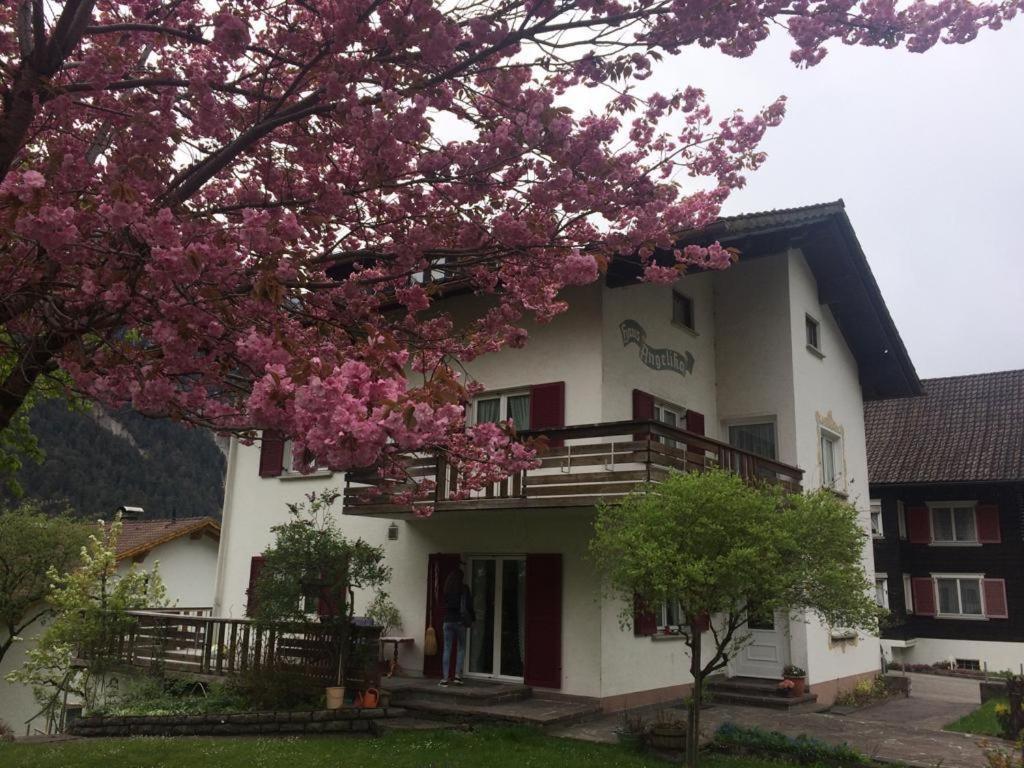 InnerbrazHaus Angelika公寓 外观 照片